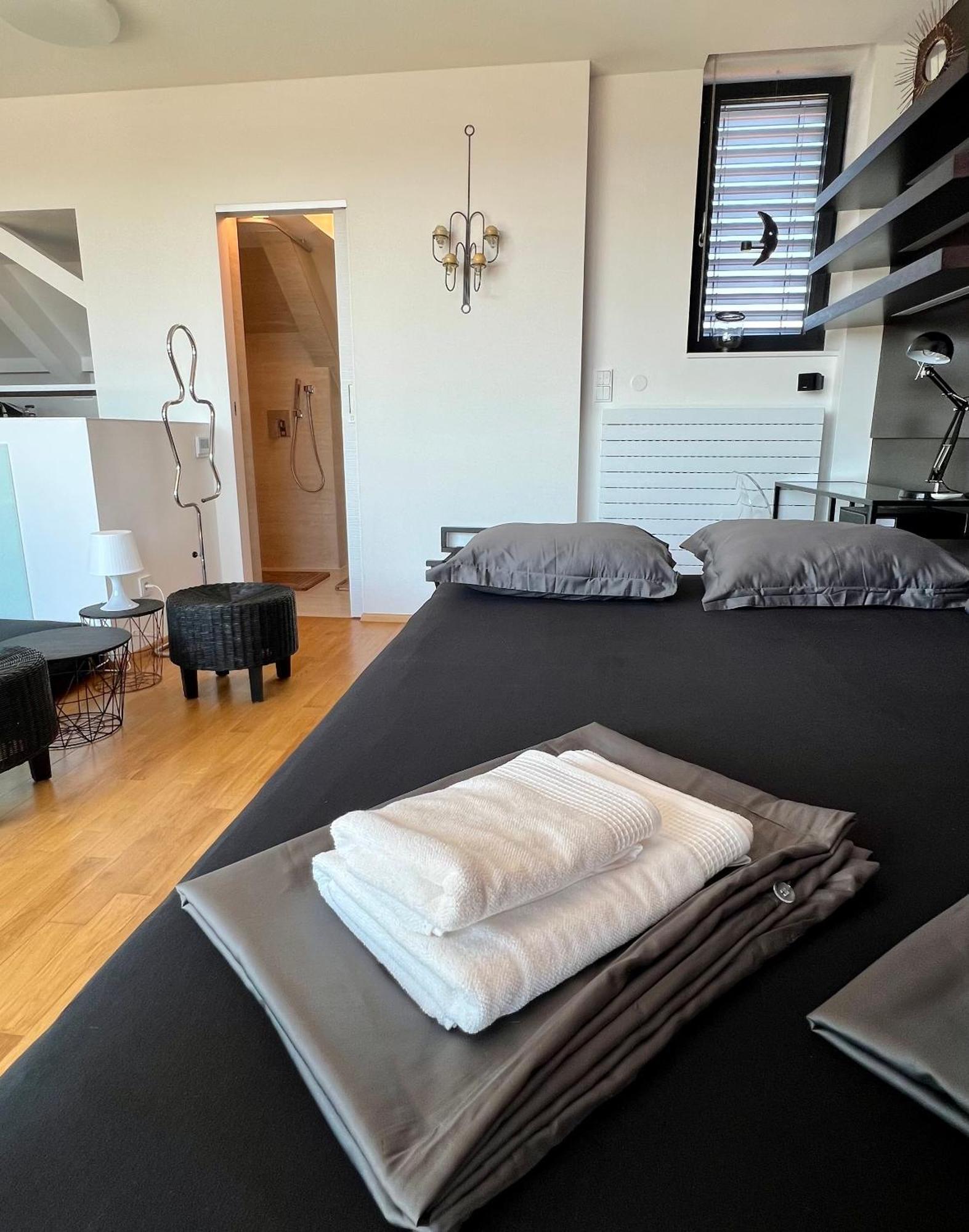 Apartman Se Saunou A Terasou S Vyhledem Na ブルノ エクステリア 写真